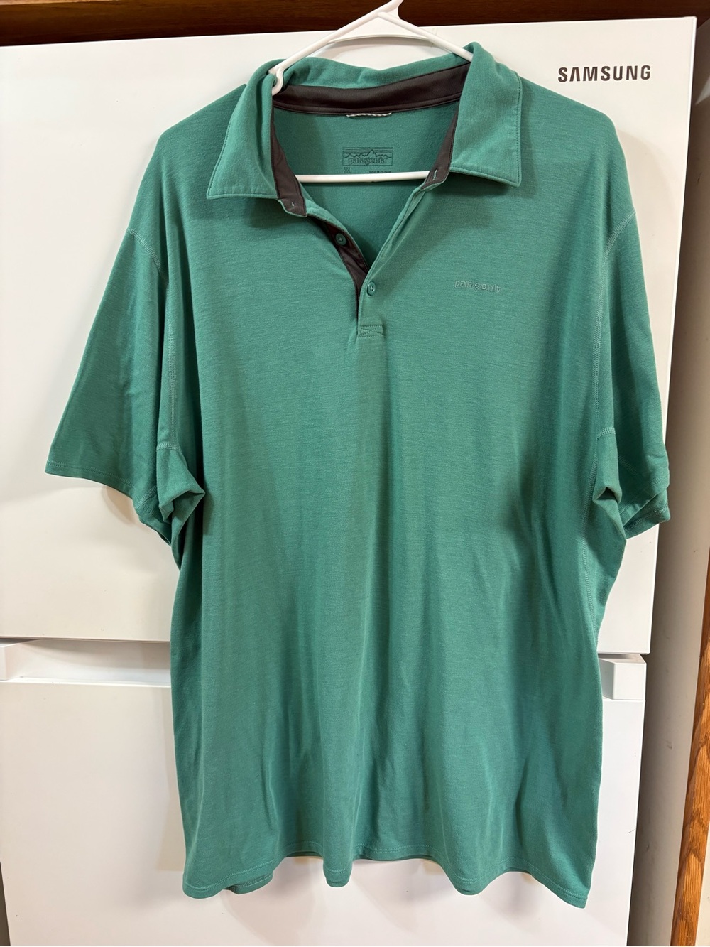Patagonia Men's Green Polo with Dark Contrast Collar